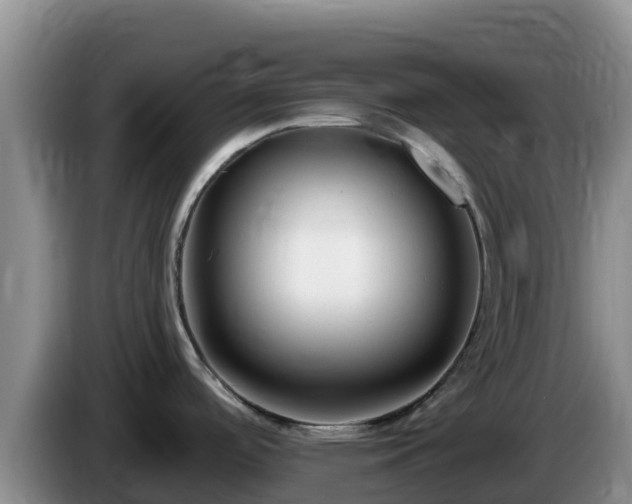 X0000086251488200704051230