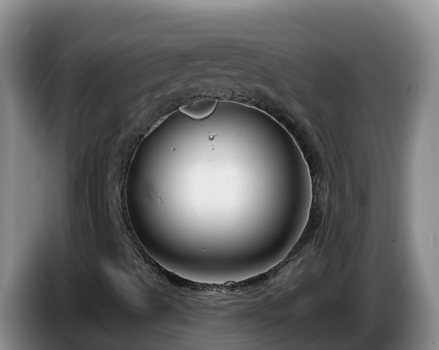X0000086251489200704051229