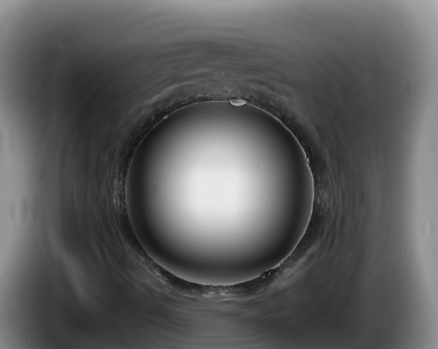 X0000086251490200704051229