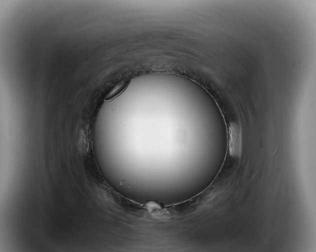 X0000086251491200704051229