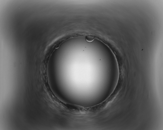 X0000086251494200704051229