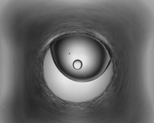 X0000086251496200704051229