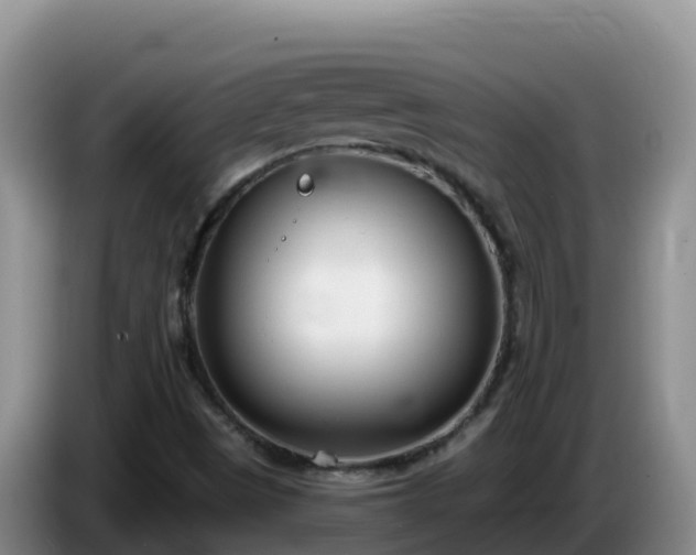 X0000086251497200704051229