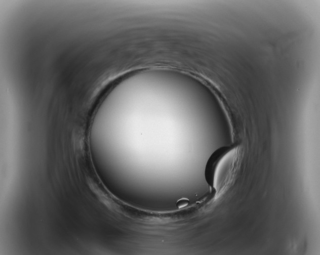X0000086251499200704051229