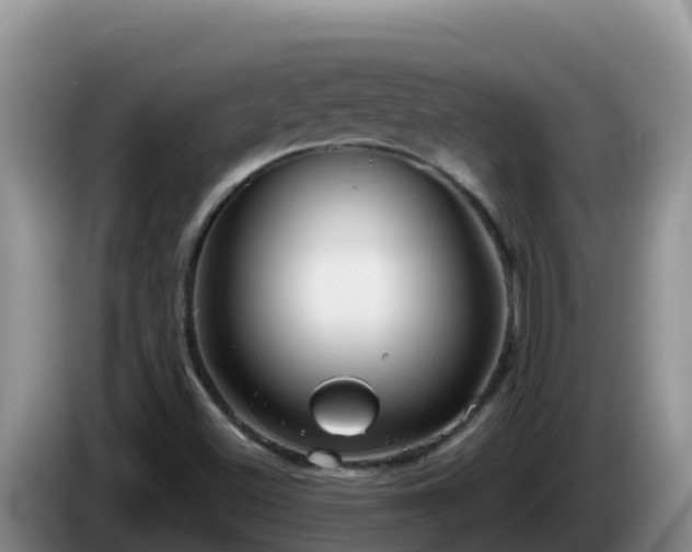 X0000086251500200704051229