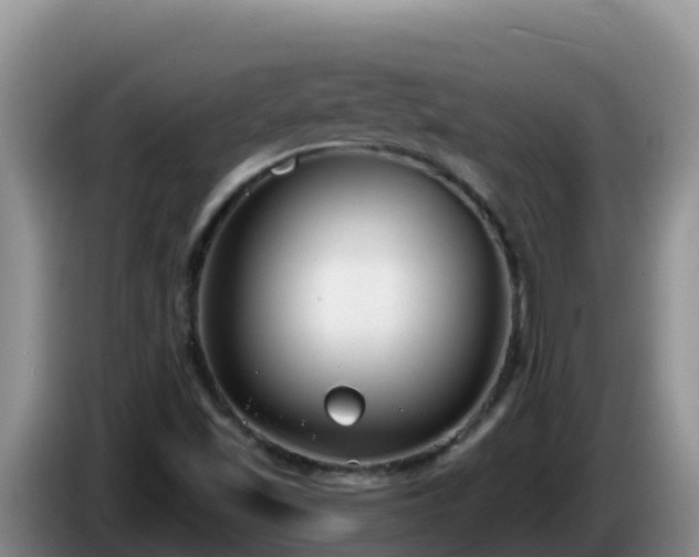 X0000086251501200704051229