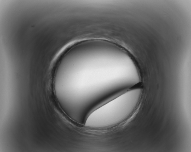 X0000086251502200704051229