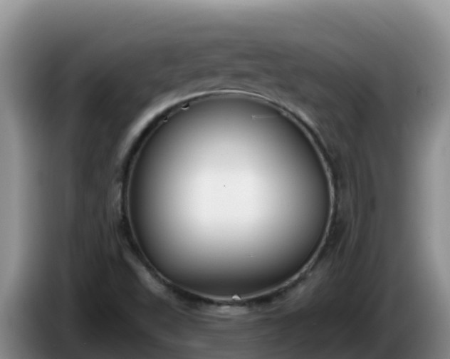 X0000086251503200704051229