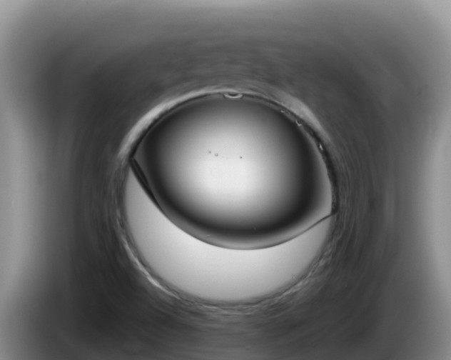 X0000086251504200704051229