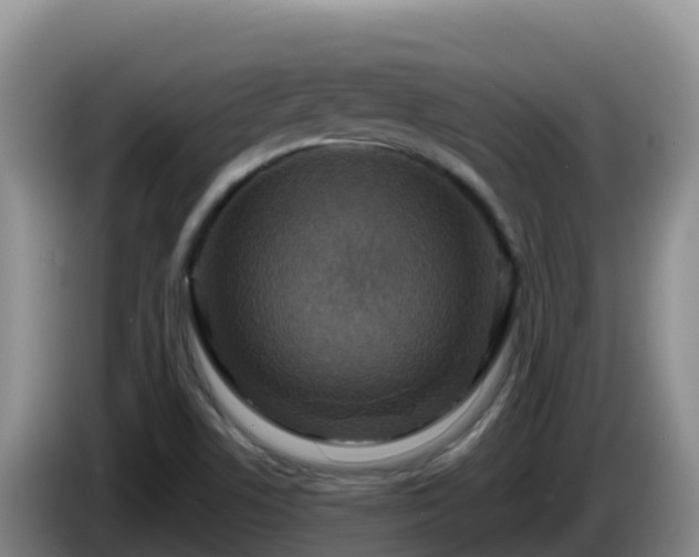 X0000086251506200704051229