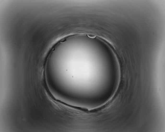 X0000086251507200704051229