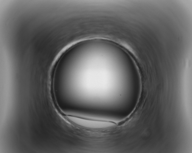 X0000086251508200704051229