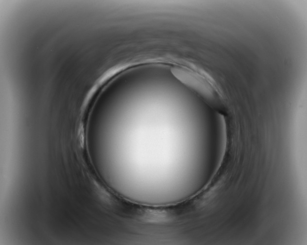 X0000086251509200704051229