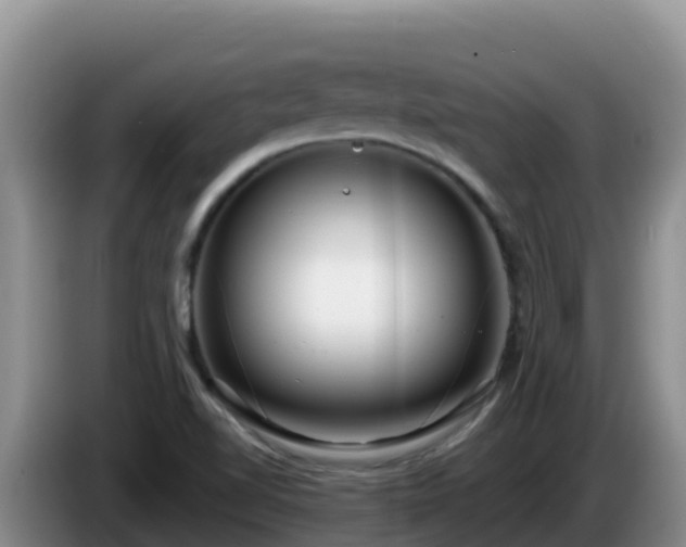 X0000086251510200704051229