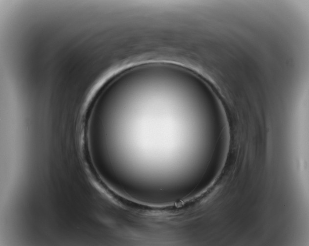 X0000086251511200704051229