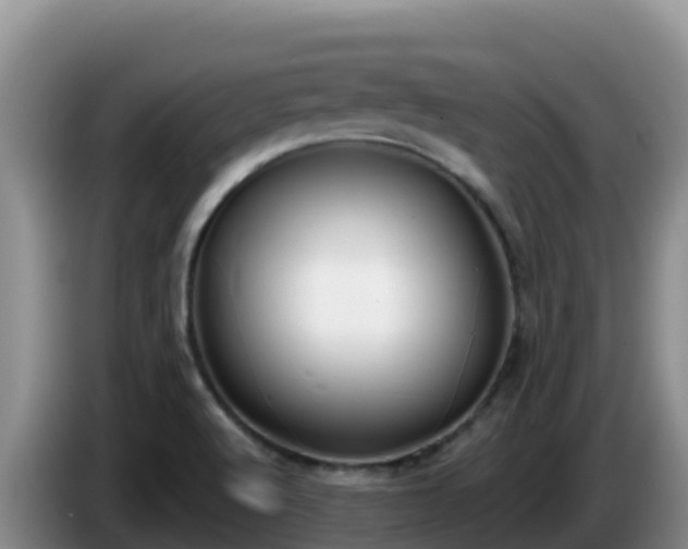 X0000086251512200704051229