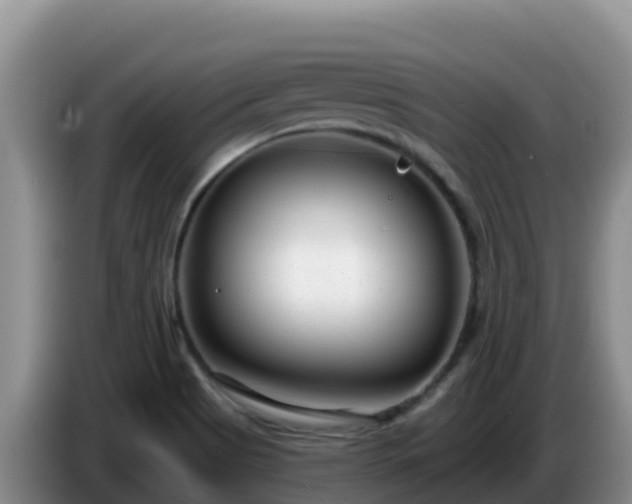 X0000086251513200704051229