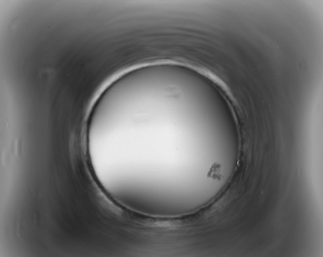 X0000086251516200704051229