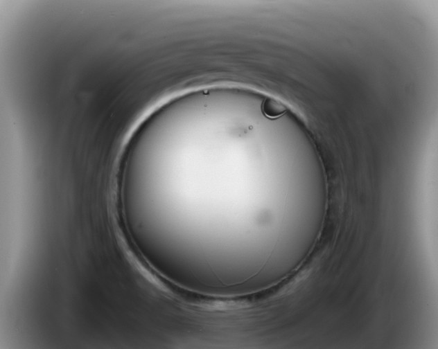 X0000086251518200704051229