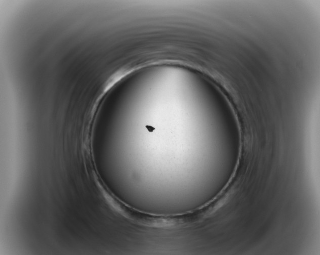 X0000086251521200704051229