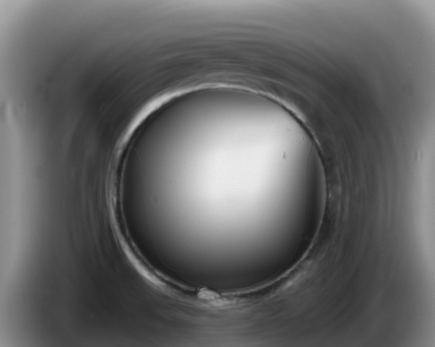 X0000086251523200704051229