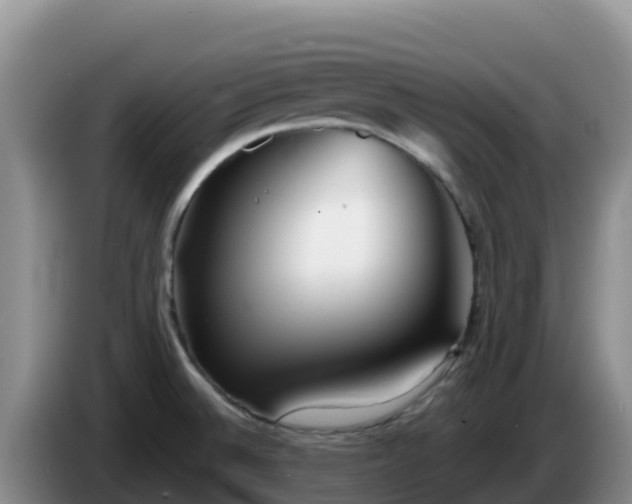 X0000086251524200704051229