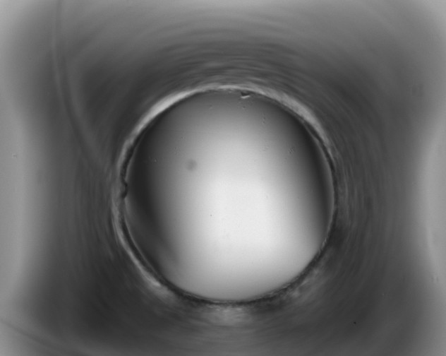 X0000086251525200704051229