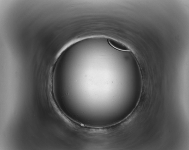 X0000086251526200704051229