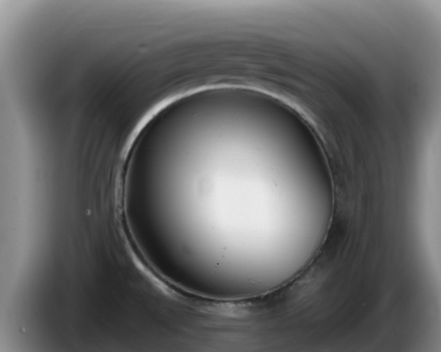 X0000086251527200704051229