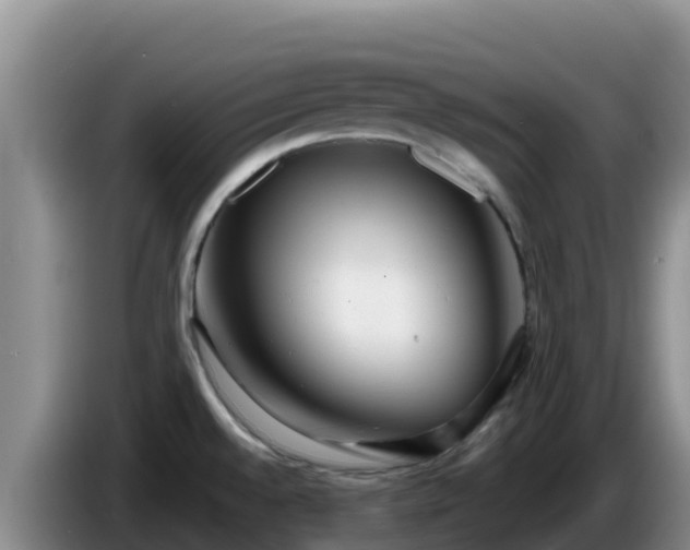 X0000086251528200704051229