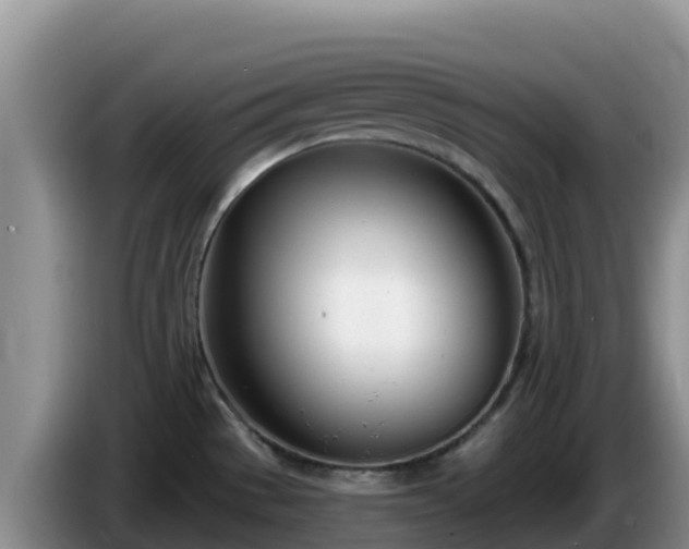 X0000086251529200704051229