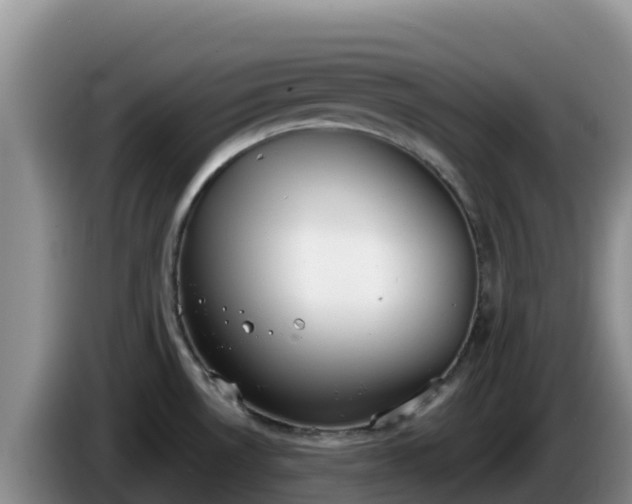X0000086251530200704051229