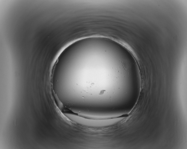X0000086251532200704051229