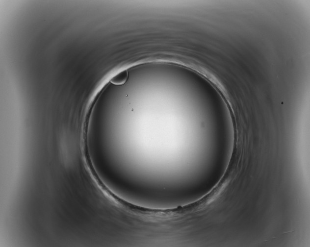 X0000086251533200704051229