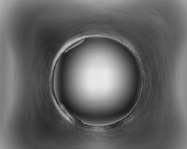X0000086251536200704051230