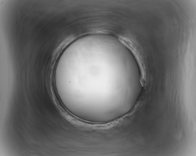 X0000086250001200704122000