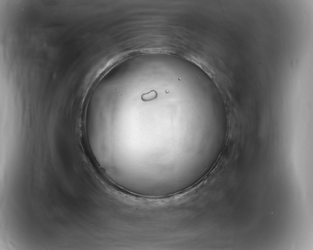 X0000086250002200704122000
