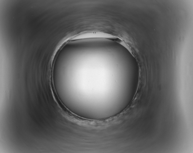X0000086250003200704122000