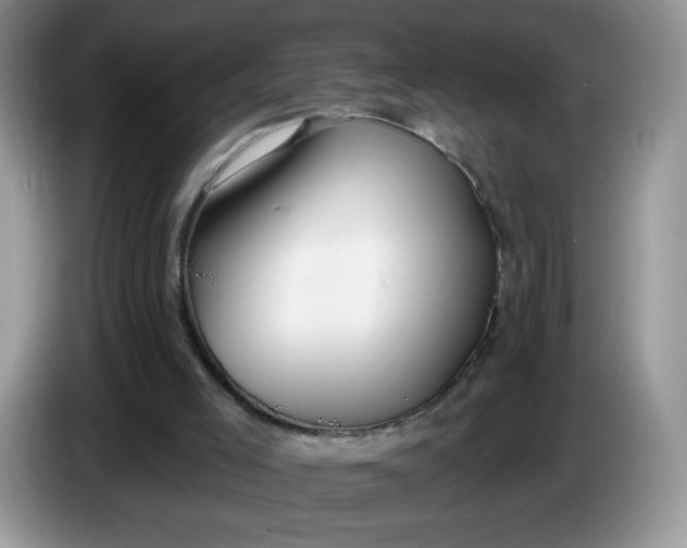 X0000086250005200704122000