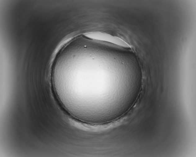 X0000086250006200704122000