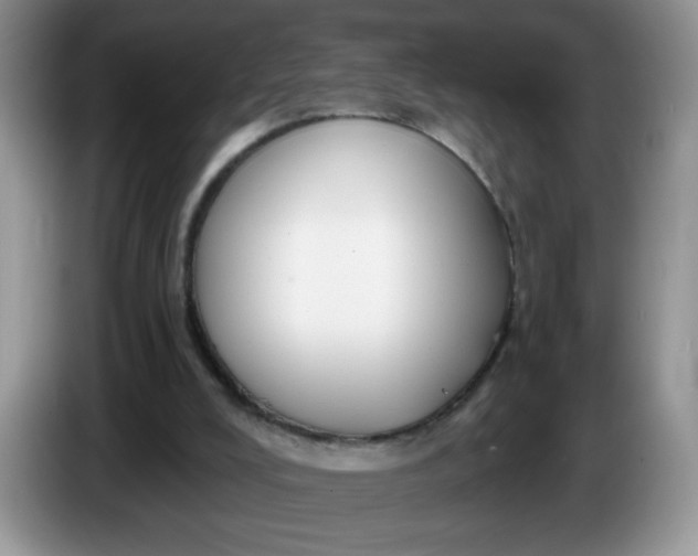 X0000086250008200704122000