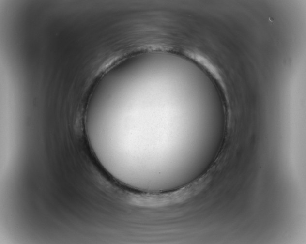 X0000086250009200704122000