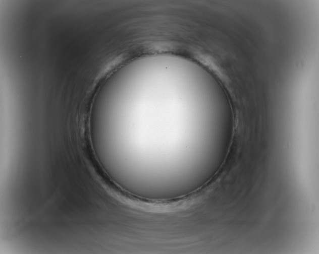 X0000086250010200704122000
