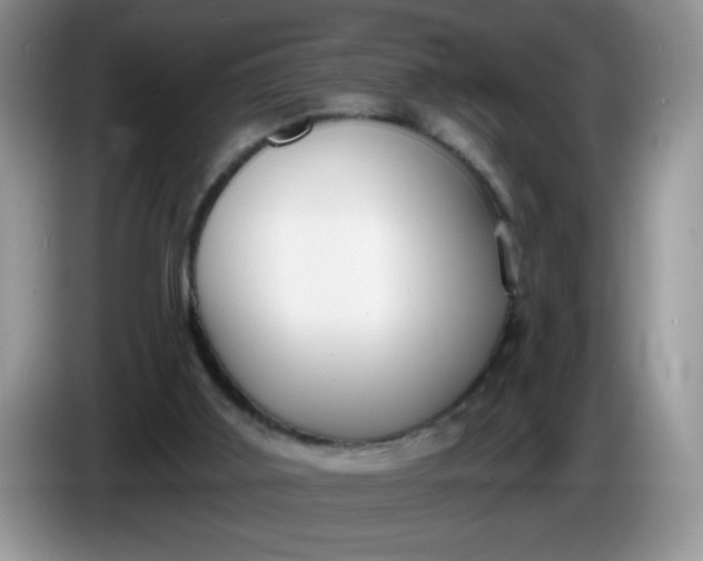 X0000086250011200704122000