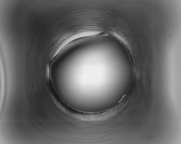X0000086250013200704122000