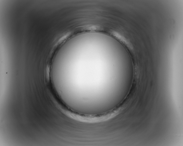 X0000086250014200704122000