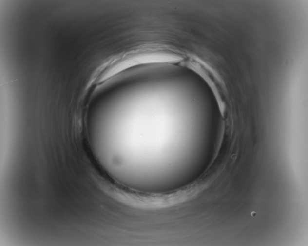 X0000086250015200704122000