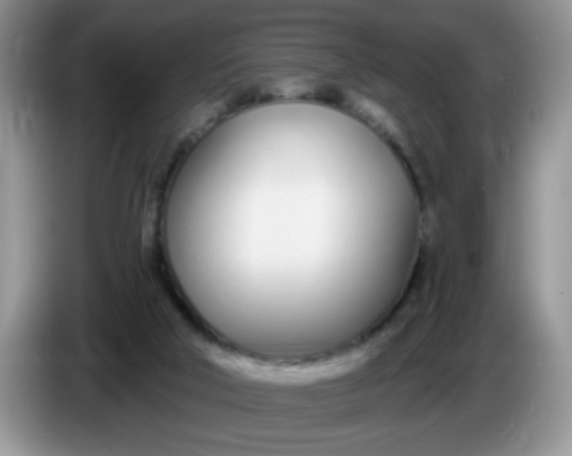 X0000086250018200704122000