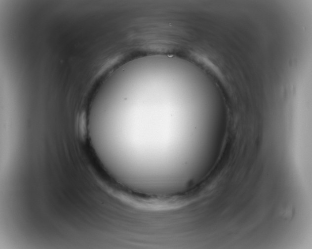X0000086250020200704122000