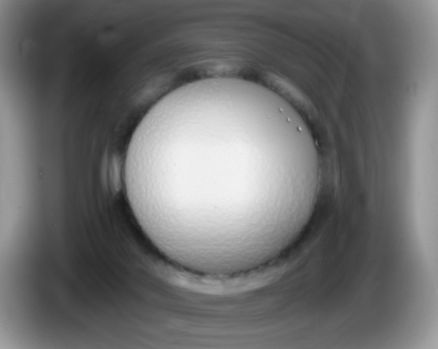 X0000086250022200704122000
